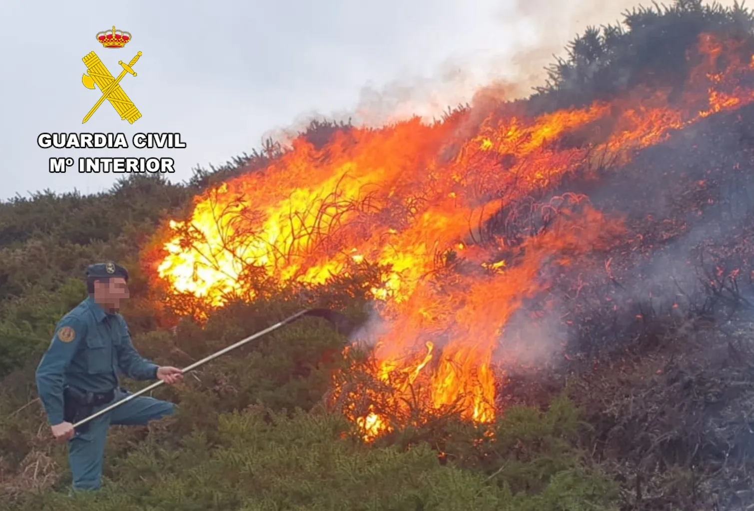 Nueva herramienta de gestión informativa de los incendios forestales