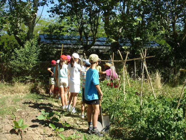 Los campamentos de la Fundación Oxígeno ponen en valor la educación en valores a través de la naturaleza