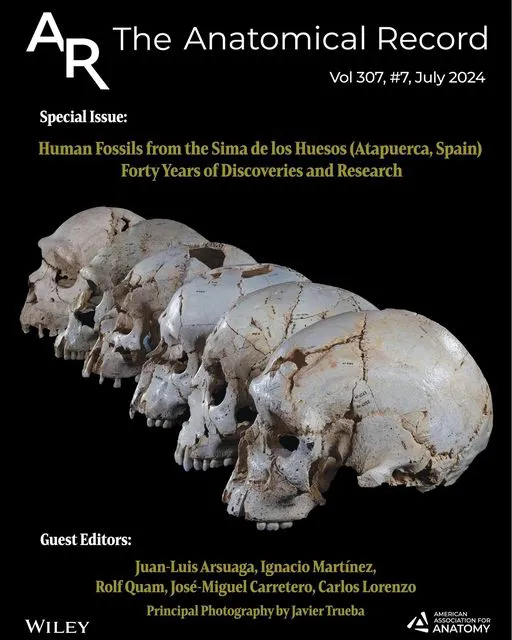 La revista The Anatomical Record publica un monográfico sobre la Sima de los Huesos