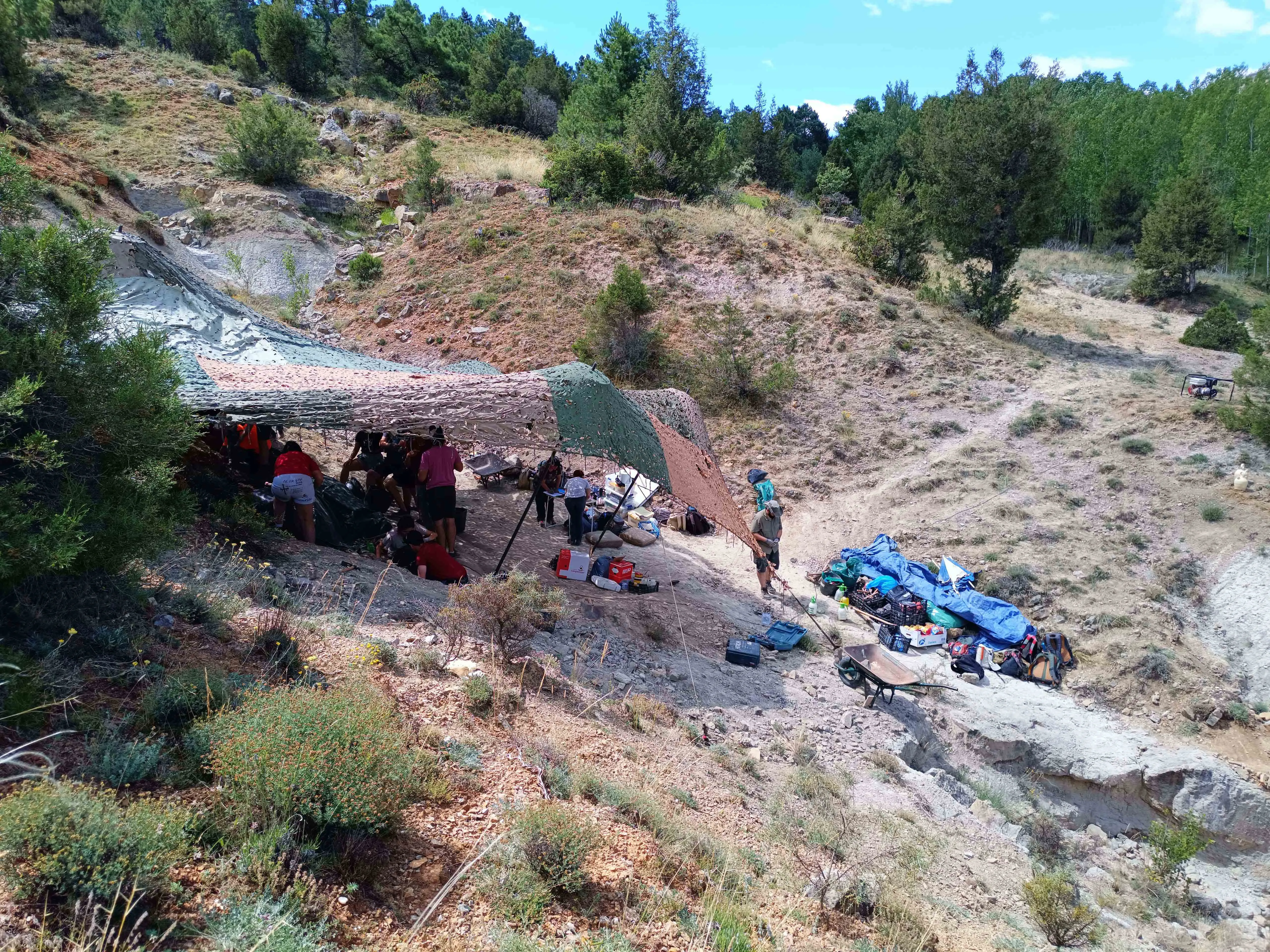 Hallan dinosaurios desconocidos en la Sierra de la Demanda