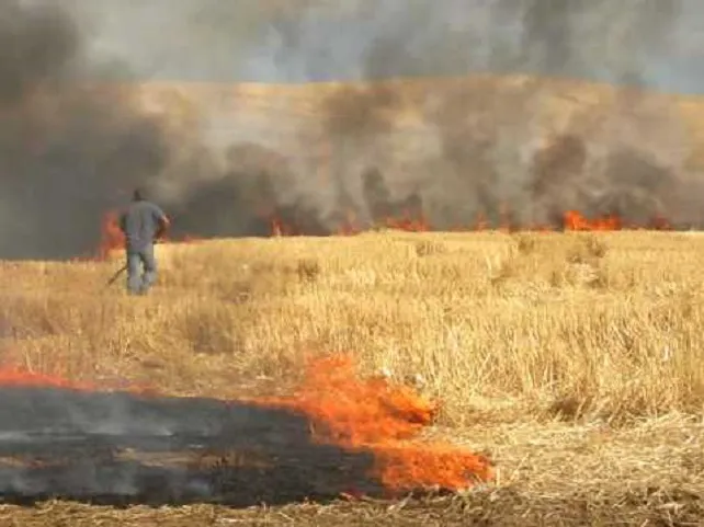 La Guardia Civil ofrece consejos para evitar incendios en días de altas temperaturas