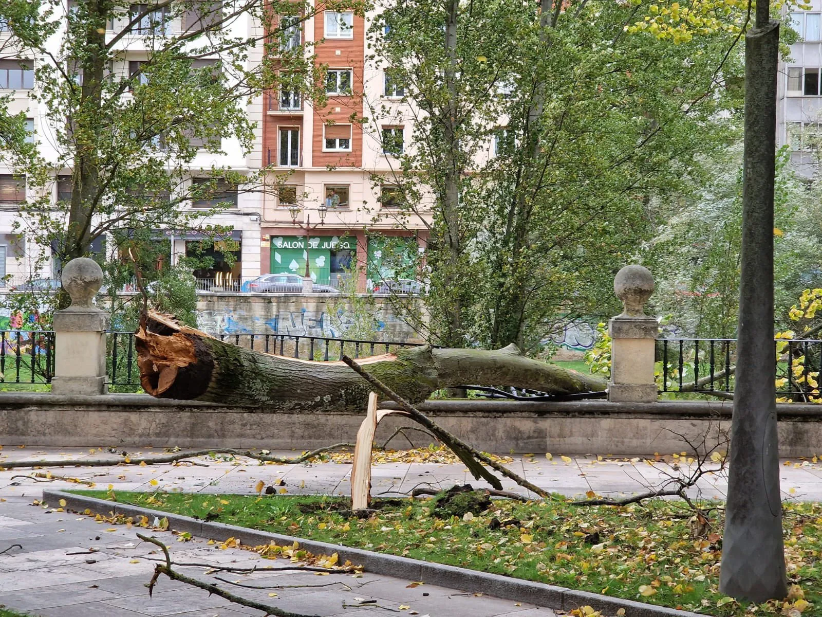 119 avisos en Burgos por el fenómeno Kirk: el temporal de viento no da tregua