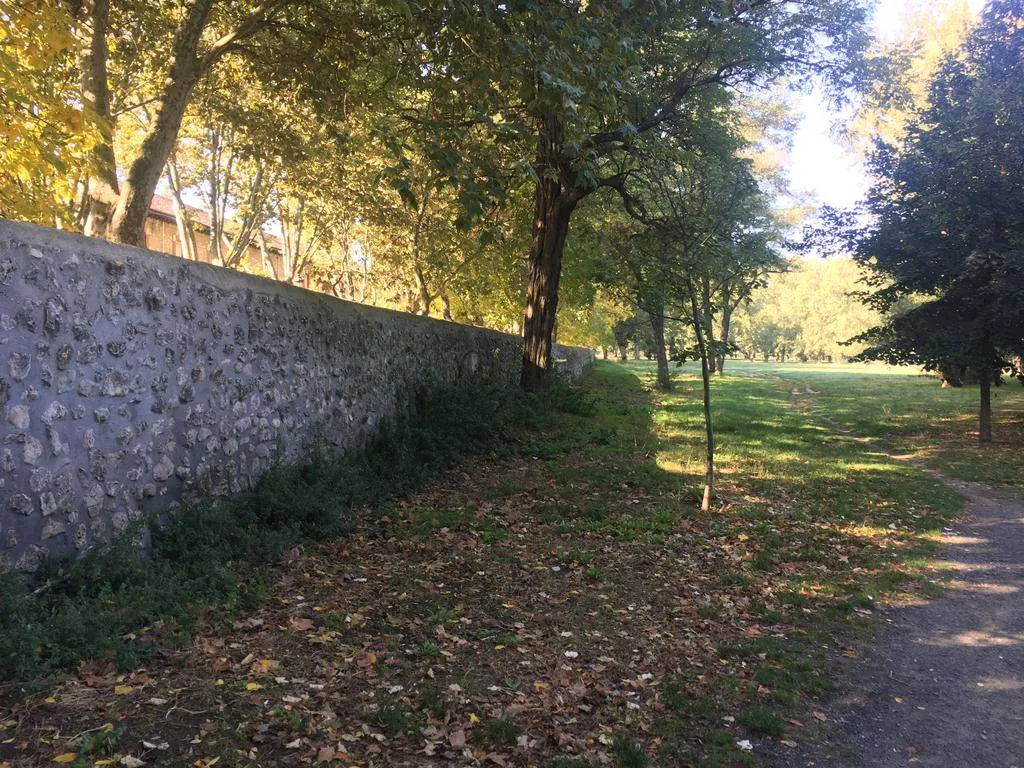 Ayuntamiento de Burgos y Patrimonio Nacional acuerdan la tala de árboles en El Parral