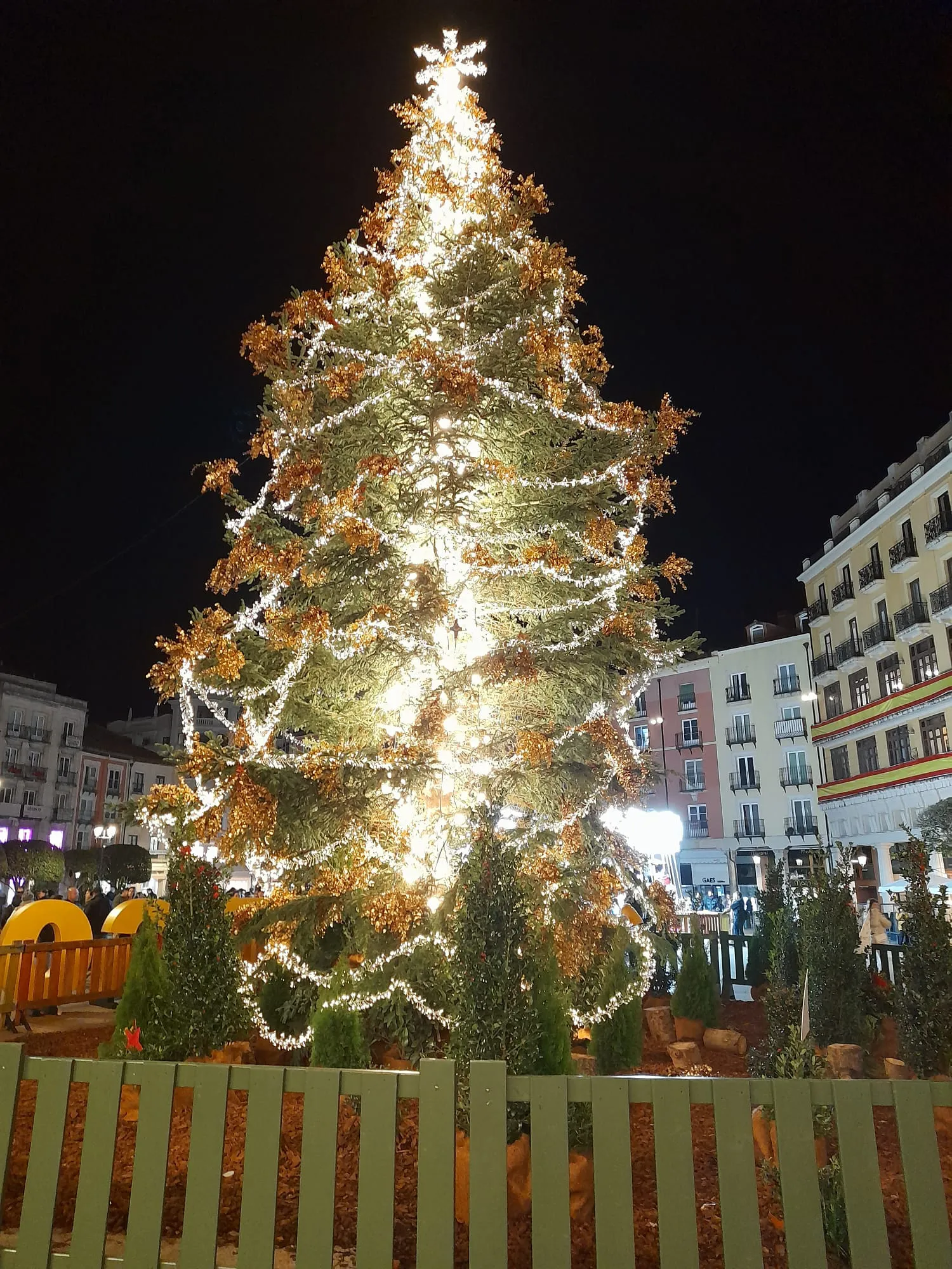 Varias casetas compondrán el mercado navideño floral y de decoración en la Plaza Mayor