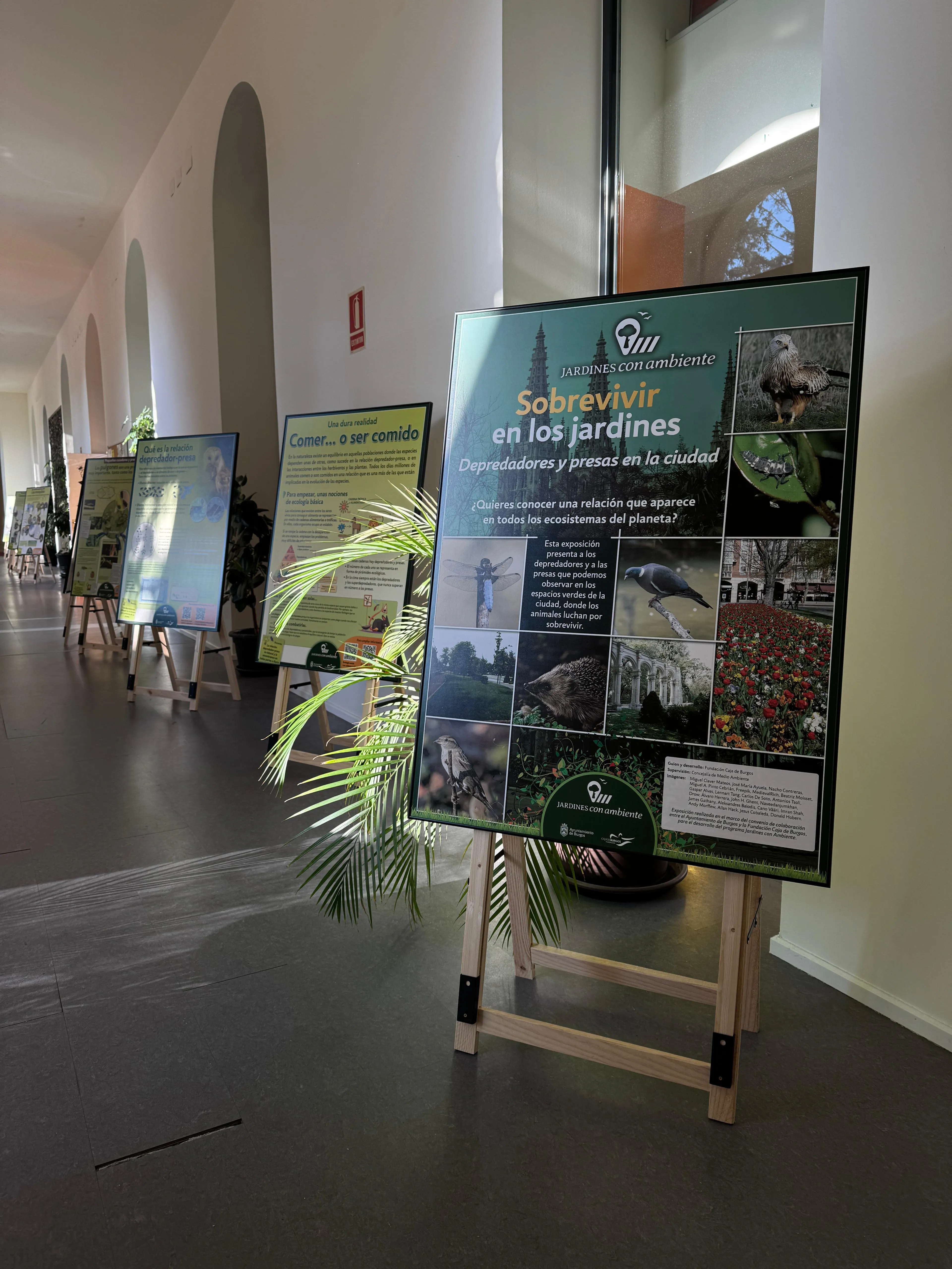 La Fundación Caja de Burgos y el Ayuntamiento inauguran la exposición ‘Sobrevivir en los jardines. Depredadores y presas en la ciudad’