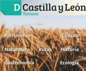 ImediaCyL recoge lo mejor del patrimonio de nuestra tierra en el nuevo número de D Castilla y León