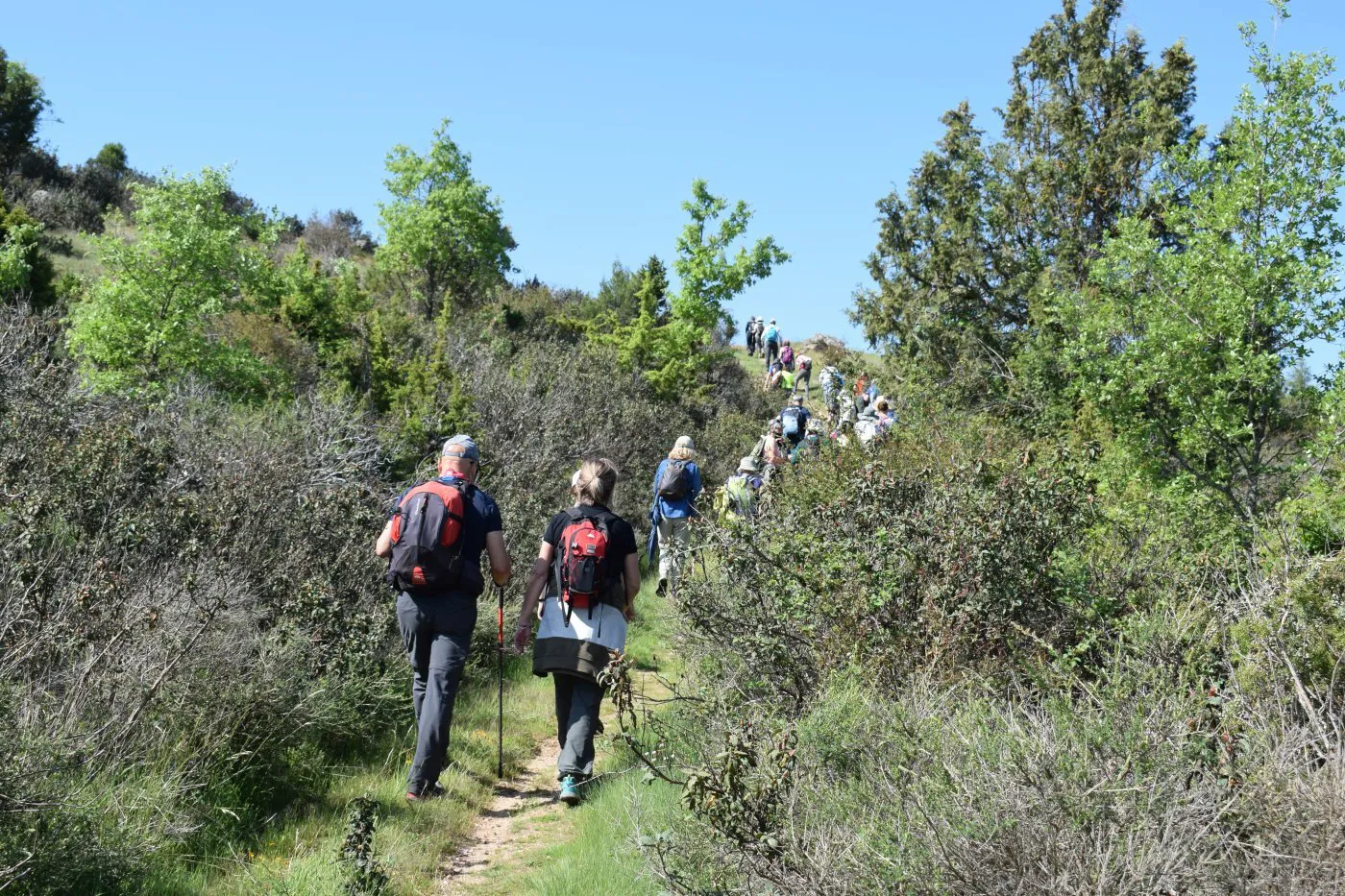 UBUverde propone 54 actividades ambientales en enero y febrero