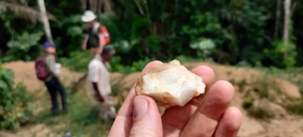 Se detecta presencia humana en las selvas de África desde hace 150.000 años