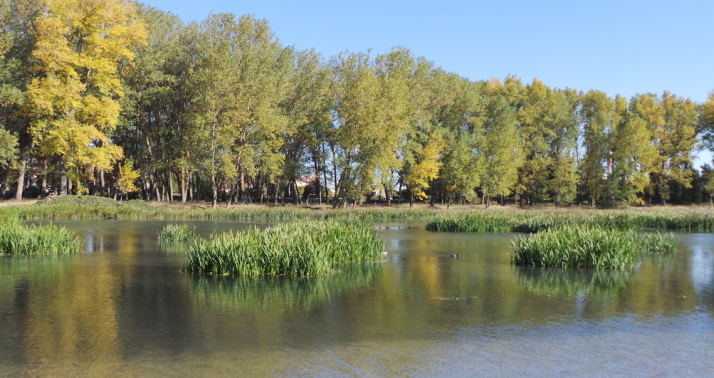 Burgos culmina la regeneración del humedal de Fuentes Blancas