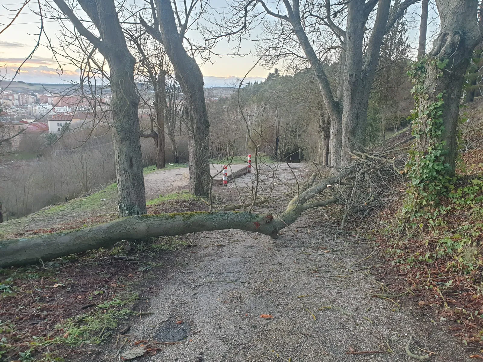 La borrasca Jana causa nueve incidentes en Burgos