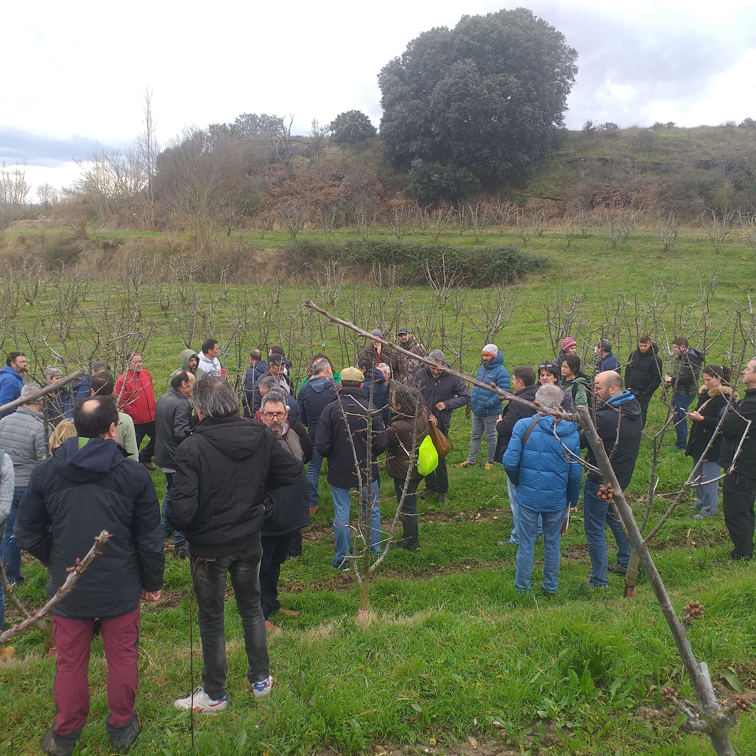 Buena acogida de la Jornada de Poda y Manejo en Cerezo y Manzano organizada por la Diputación de Burgos
