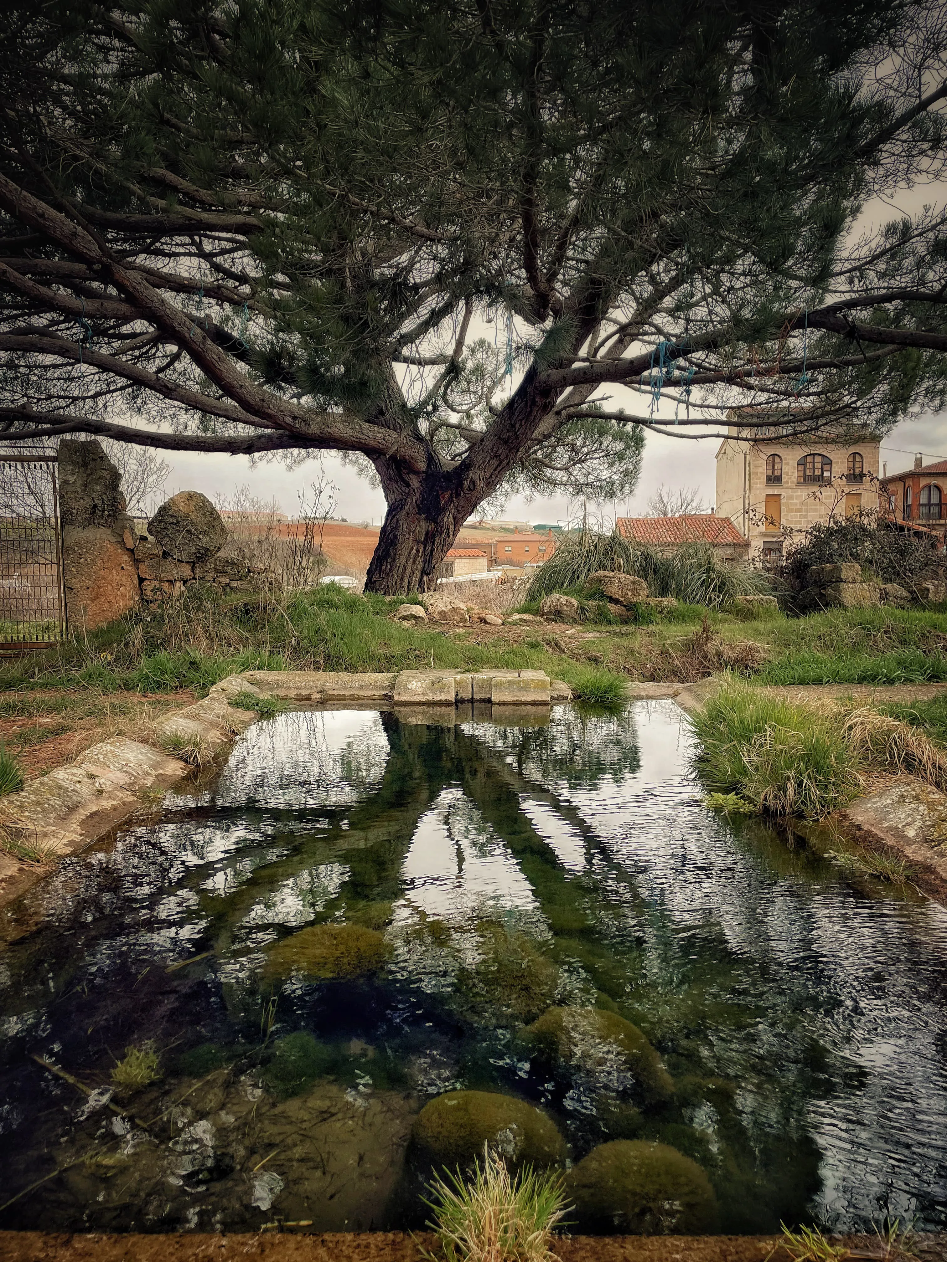 Foto 5 - Burgos en mi mirada: una ventana fotogr&aacute;fica a la provincia
