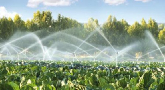 Economía y Empresa Burgos: Los regantes de la zona ‘Losa Baja’, en Burgos y la Junta, invertirán para impulsar el riego con energía fotovoltaica