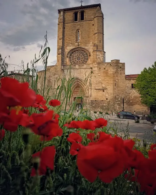 Foto 6 - Burgos en mi mirada: una ventana fotogr&aacute;fica a la provincia