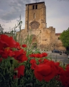 Foto 6 - Burgos en mi mirada: una ventana fotogr&aacute;fica a la provincia