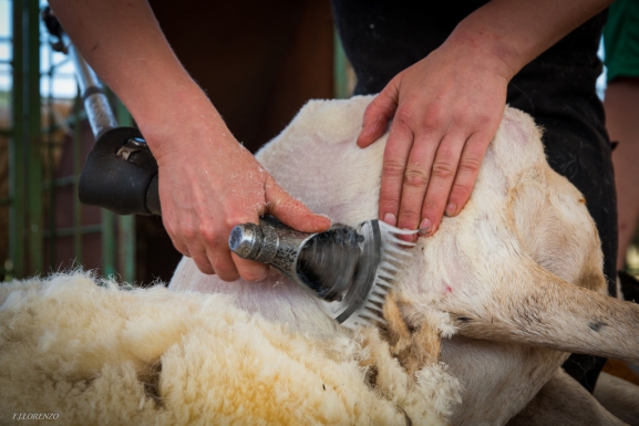 Burgosnoticias.com - Información, noticias, actualidad, deportes y sucesos de Burgos