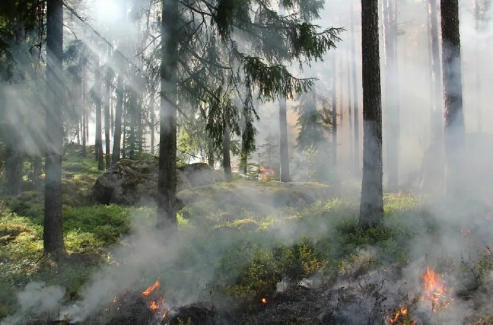 La Junta declara alerta de riesgo de incendios forestales por causas meteorológicas para toda la Comunidad