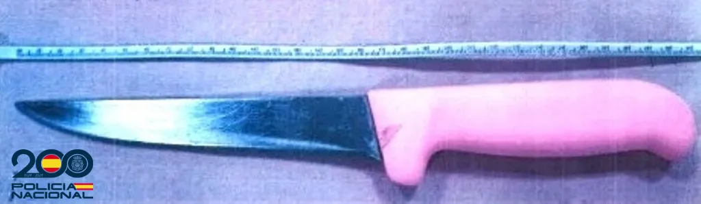 Detenido en Burgos tras perseguir con un cuchillo a una menor cuando regresaba a su domicilio