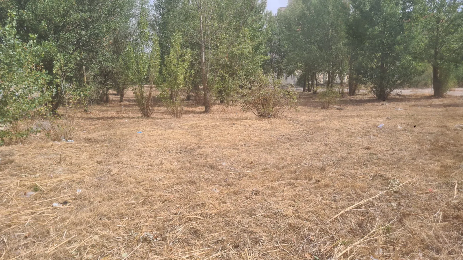La adjudicataria de los jardines de Burgos desbroza al menos una finca de sus accionistas por error