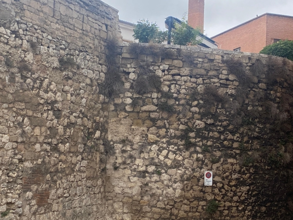 De nuevo un cenador en la muralla de la calle Trinidad