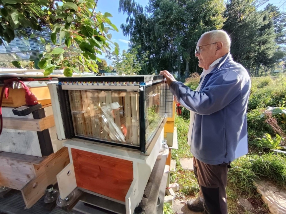 Colmenas tradicionales de Burgos, un modelo para la innovación apícola en Europa