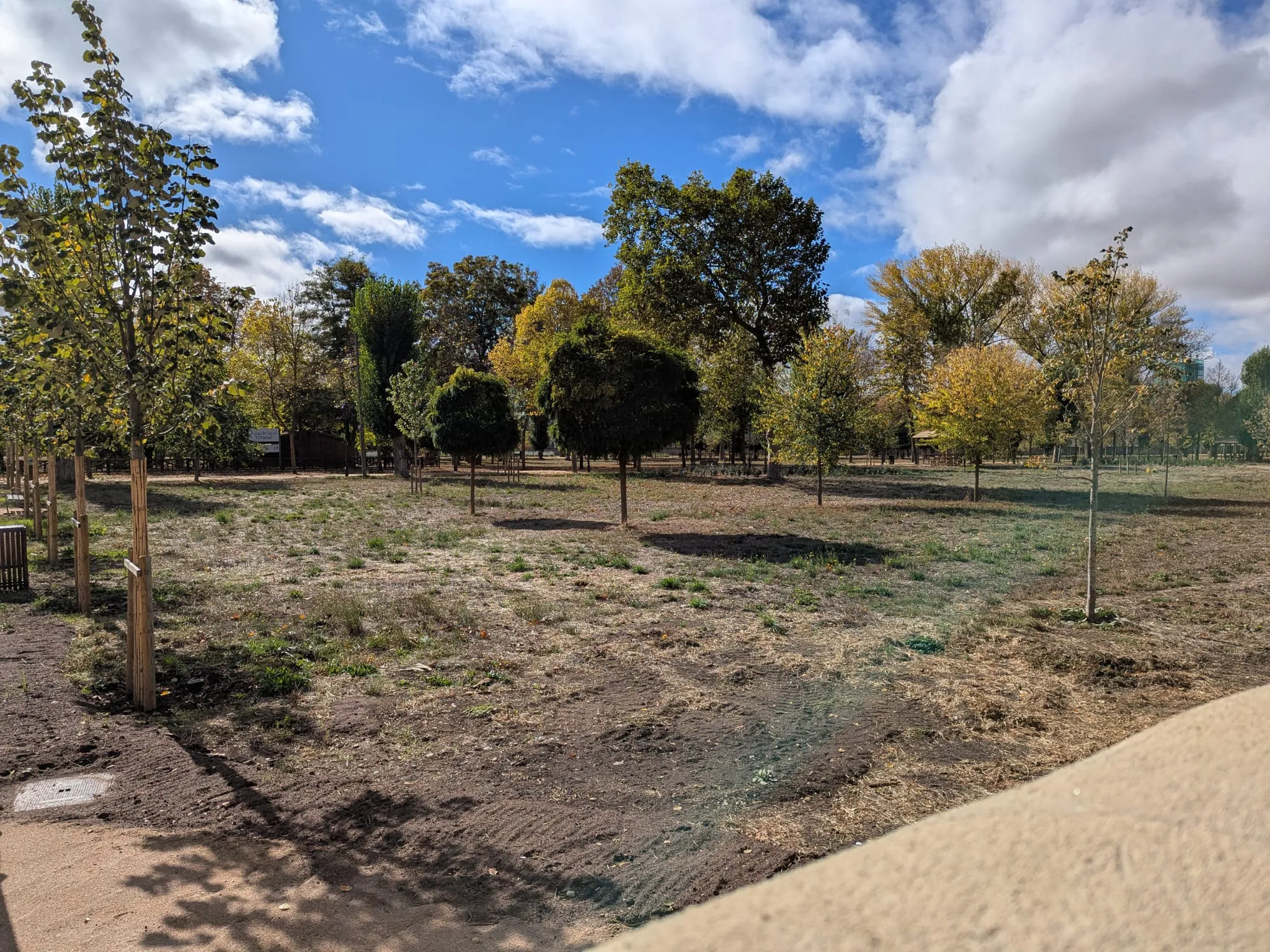 Actualidad Burgos: El Parral se cerrará las noches de viernes y sábado para evitar actos vandálicos