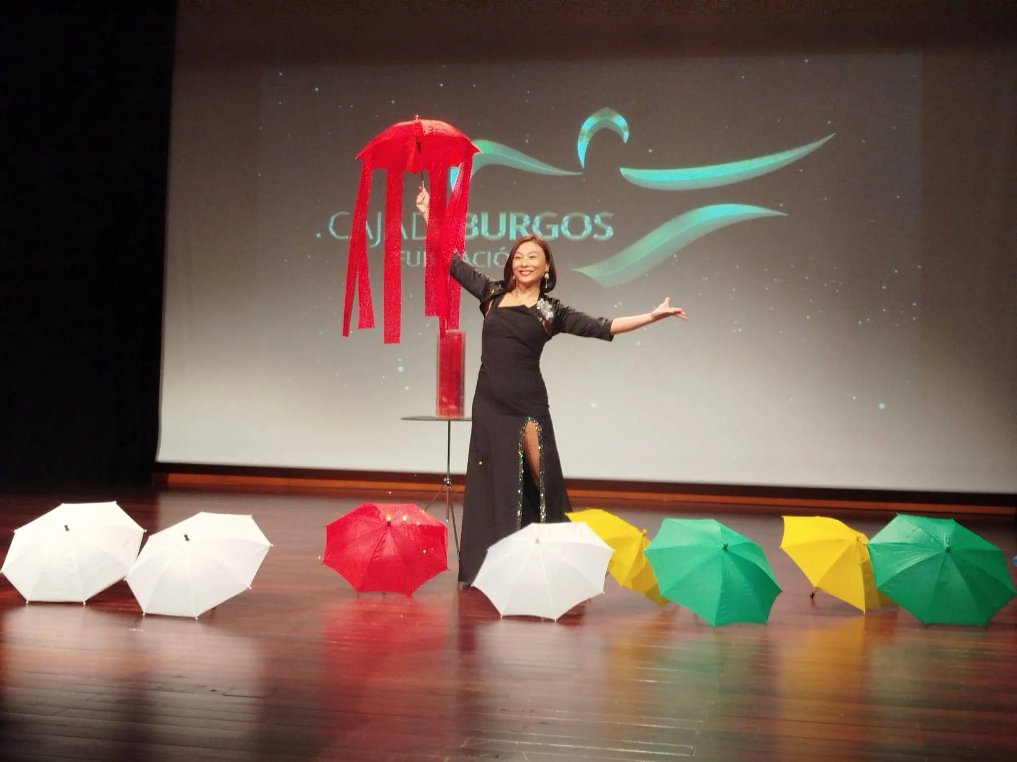 Cultura Burgos: Los mejores magos del mundo aterrizan en Burgos estas Navidades