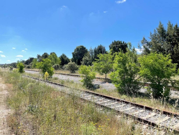 El PP de Burgos defiende en el Congreso la reapertura del Tren Directo