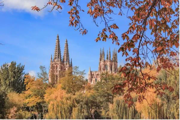 Sociedad y Vida Burgos: La digitalización pendiente de las pymes en Burgos: una oportunidad clave para 2025