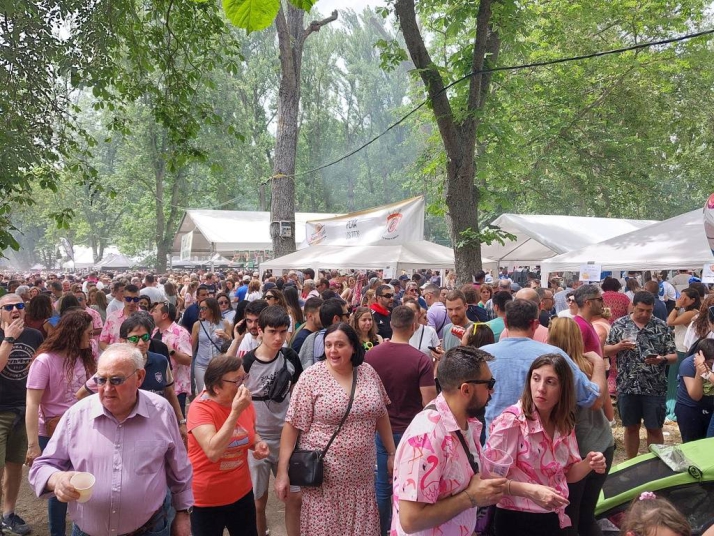 Todo listo para la jira del Curpillos: 36 peñas y más de 30.000 asistentes en la Quinta