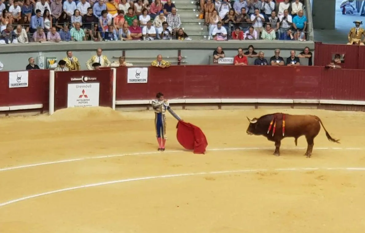 El Ayto de Burgos prorroga el contrato a Tauroemoción para la feria taurina 2026