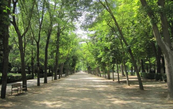 Luz verde a una red de refugios climáticos basada en centros cívicos, bibliotecas y zonas verdes