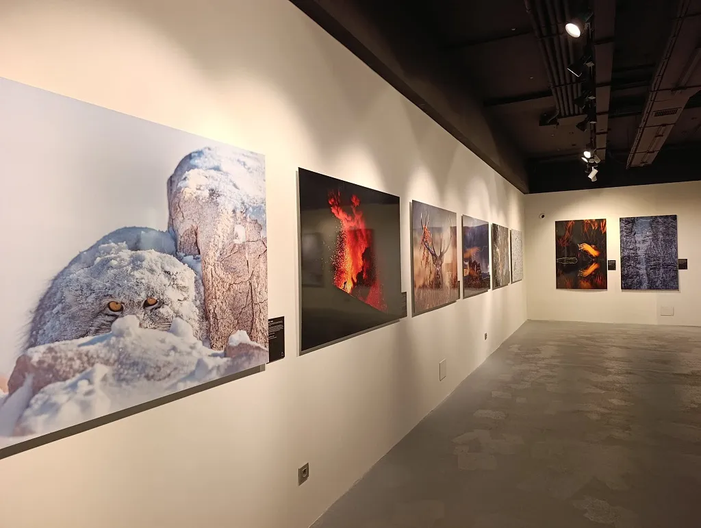 Burgos, escaparate mundial de la naturaleza con una exposición fotográfica única