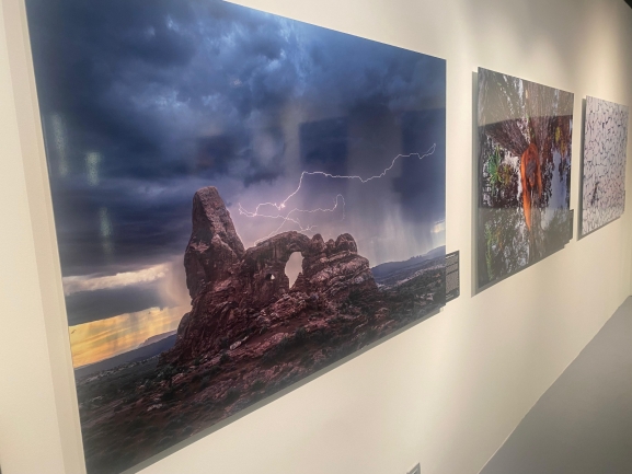 Expertos de toda España debaten en Burgos sobre la restauración de la naturaleza