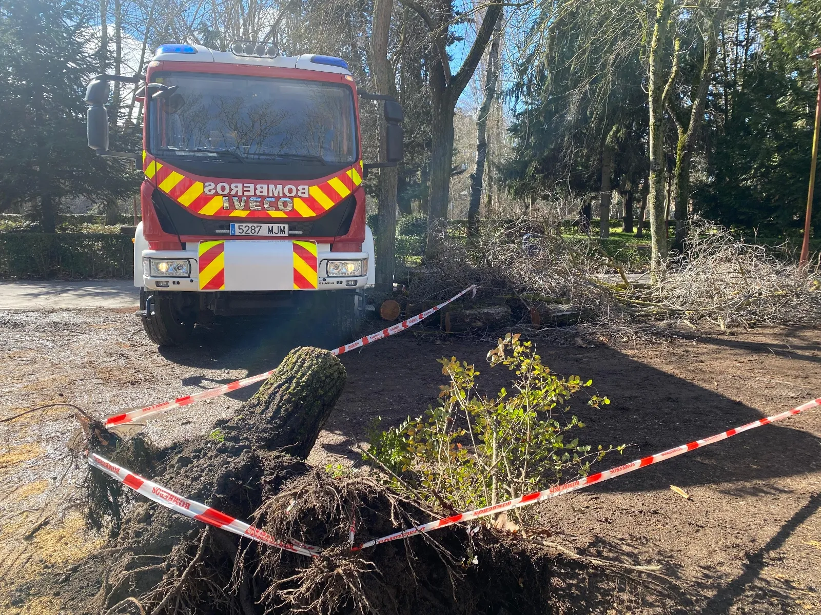 Foto 6 - Los fuertes vientos provocan la ca&iacute;da de &aacute;rboles en varios puntos de Burgos capital