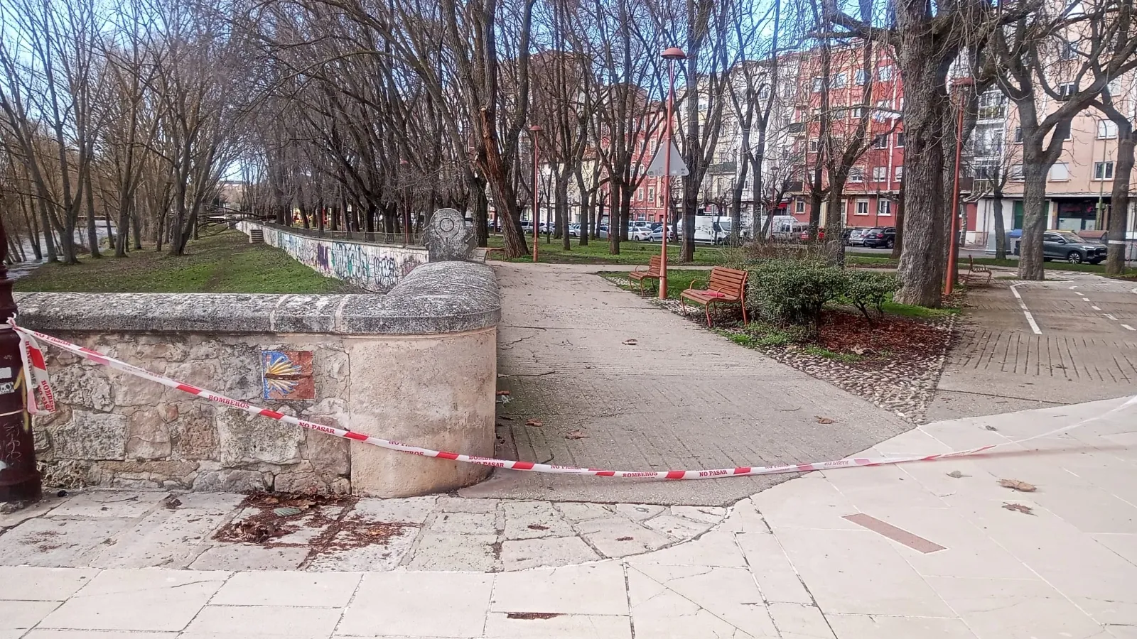 Foto 5 - Los fuertes vientos provocan la ca&iacute;da de &aacute;rboles en varios puntos de Burgos capital
