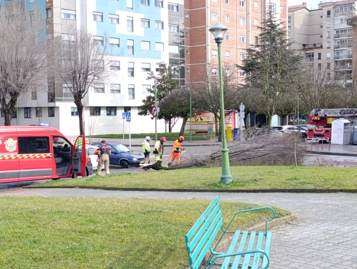 La borrasca Leonardo provoca nuevas incidencias en Burgos con caídas de árboles e inundaciones