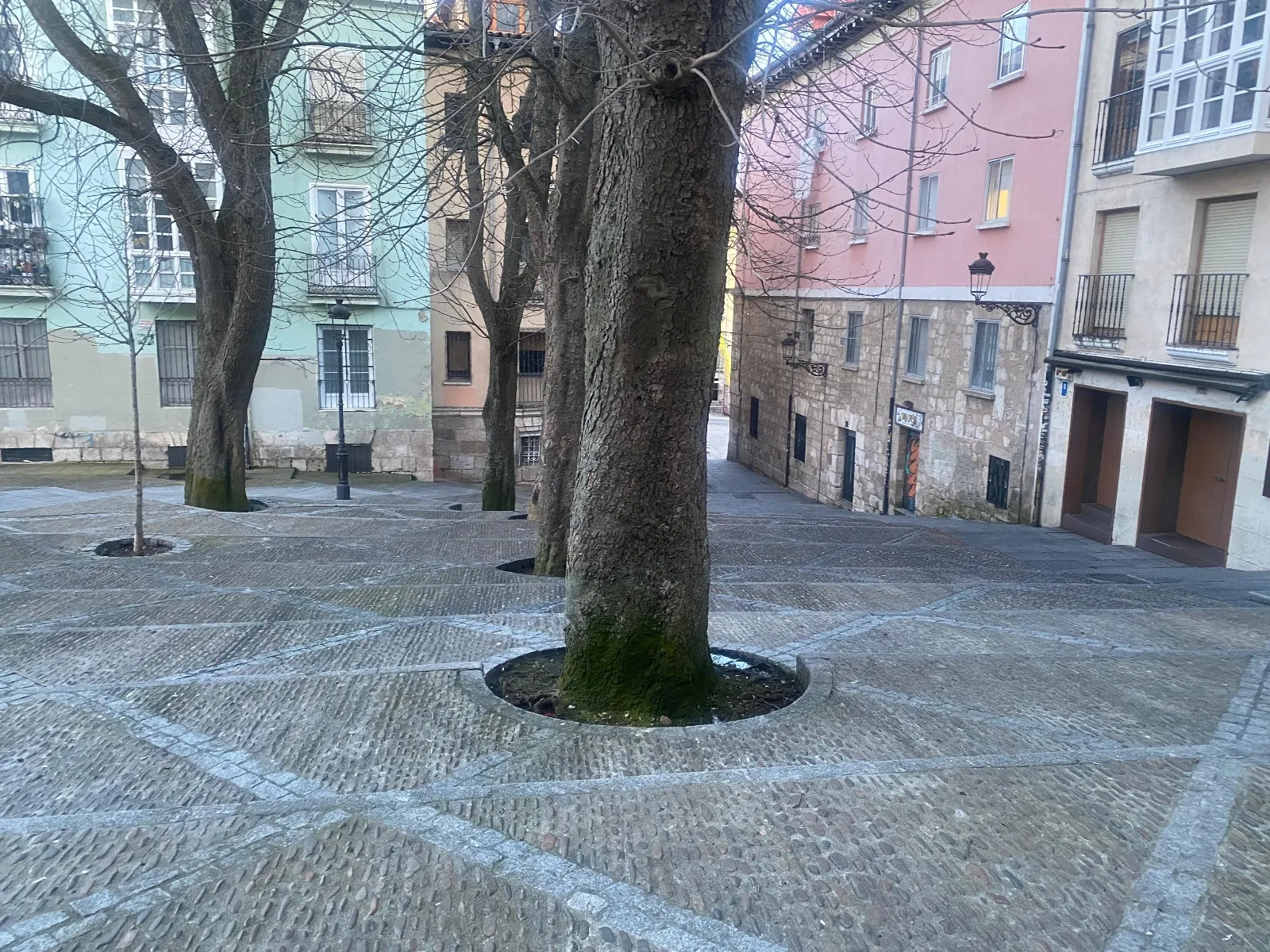 El Pleno aprueba varias medidas para el Distrito Centro de Burgos