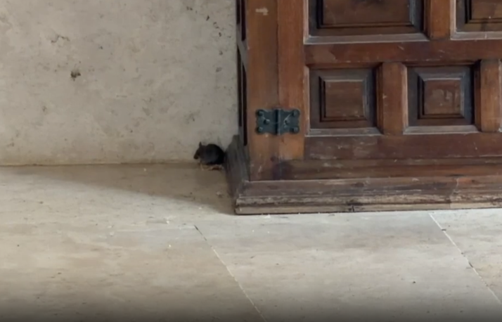 GALER&Iacute;A | Suciedad, basura y deterioro: as&iacute; ha quedado el Monasterio de Belorado tras el desahuc