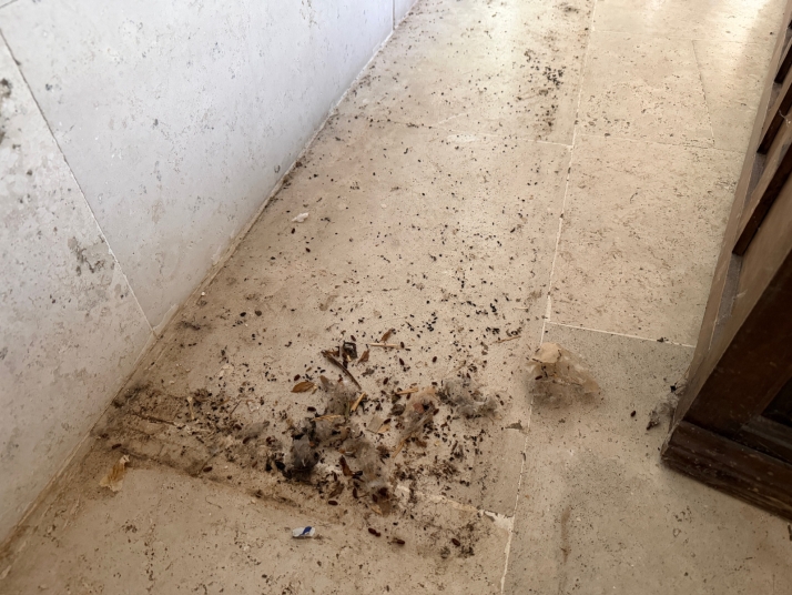 GALER&Iacute;A | Suciedad, basura y deterioro: as&iacute; ha quedado el Monasterio de Belorado tras el desahuc