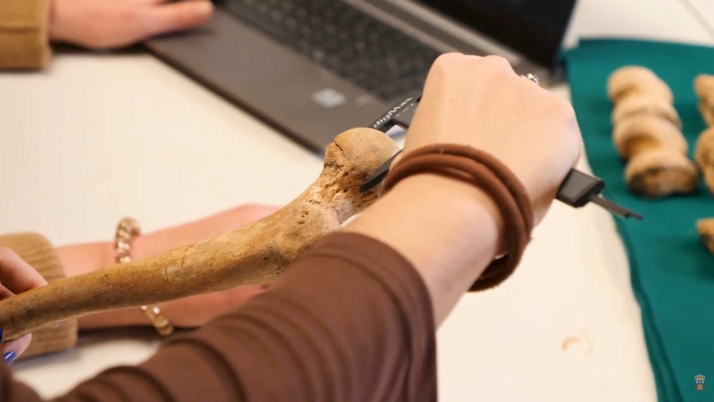 Un estudio de la UBU revela en los huesos la huella de la primera menstruación en la Edad Media