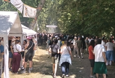 Burgos vive en todo su esplendor la tradicional fiesta del Curpillos