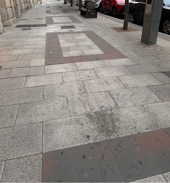La suciedad campa a sus anchas por las calles de Burgos