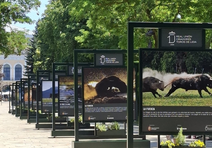 El Espolón acoge la exposición Toro Bravo, el guardián de la biodiversidad