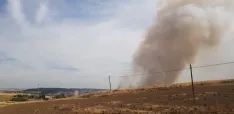 Un incendio de rastrojos moviliza a los servicios de emergencia en la carretera de Arcos de Burgos