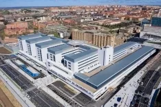 Confirman el fallecimiento de un hombre en Castilla y León por picadura de una garrapata