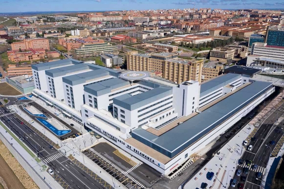 Confirman el fallecimiento de un hombre en Castilla y León por picadura de una garrapata