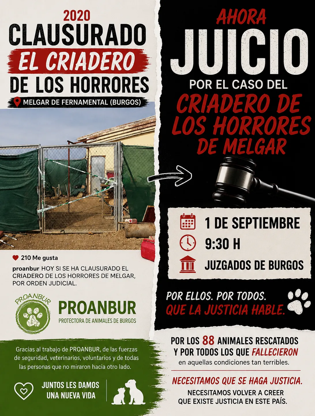 El criadero de los horrores de Melgar de Fernamental (Burgos) llega a juicio tras años de denuncias ,rescates y una extradición