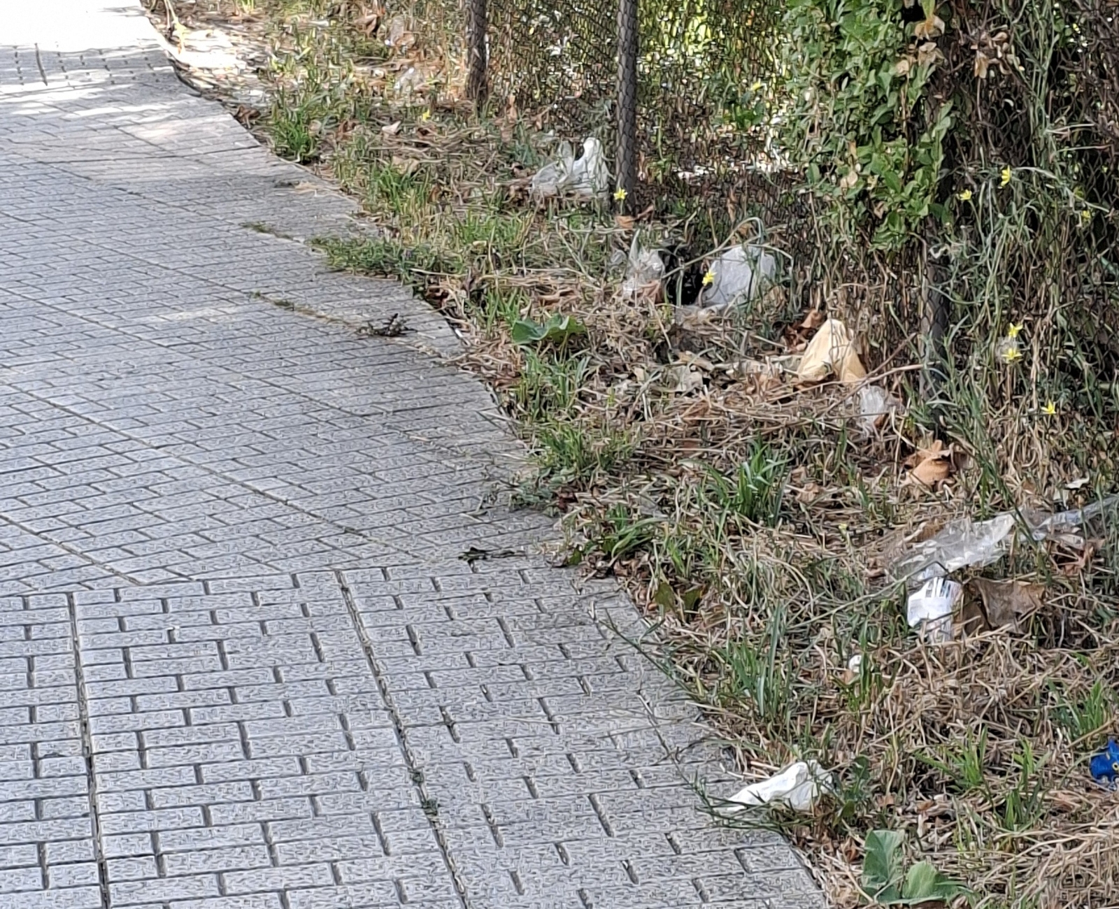 Suciedad acumulada junto a la Residencia de Suboficiales en la calle Vitoria