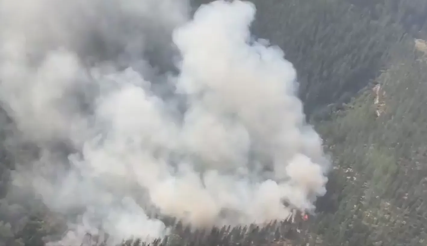 Declarado un incendio de nivel 1 en Arza, en el Valle de Mena